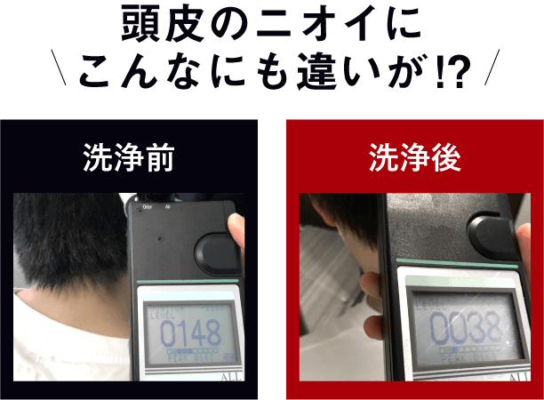 こんなにも違いが!?